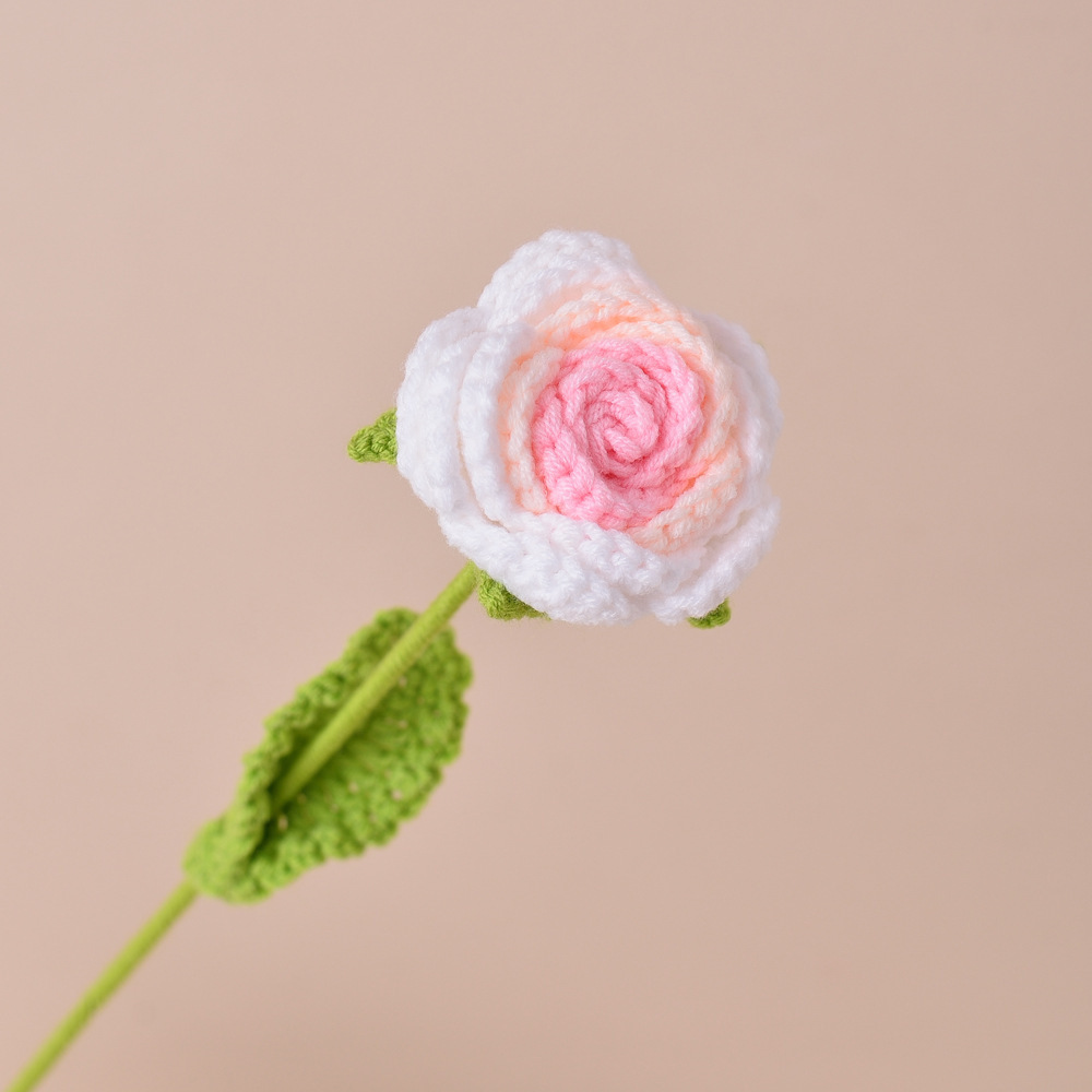 Pink gradient rose