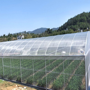 Suministro de fábrica 220gsm HDPE Anti Fly Aphid Net Red de insectos Invernadero Red a prueba de insectos - Product Image 5