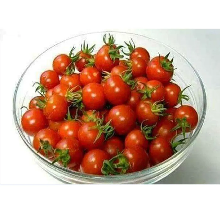 Pomodori freschi rosso verde ciliegia stile pomodori biologici scatole di cartone di colore rosso casse di plastica pomodori di alta qualità