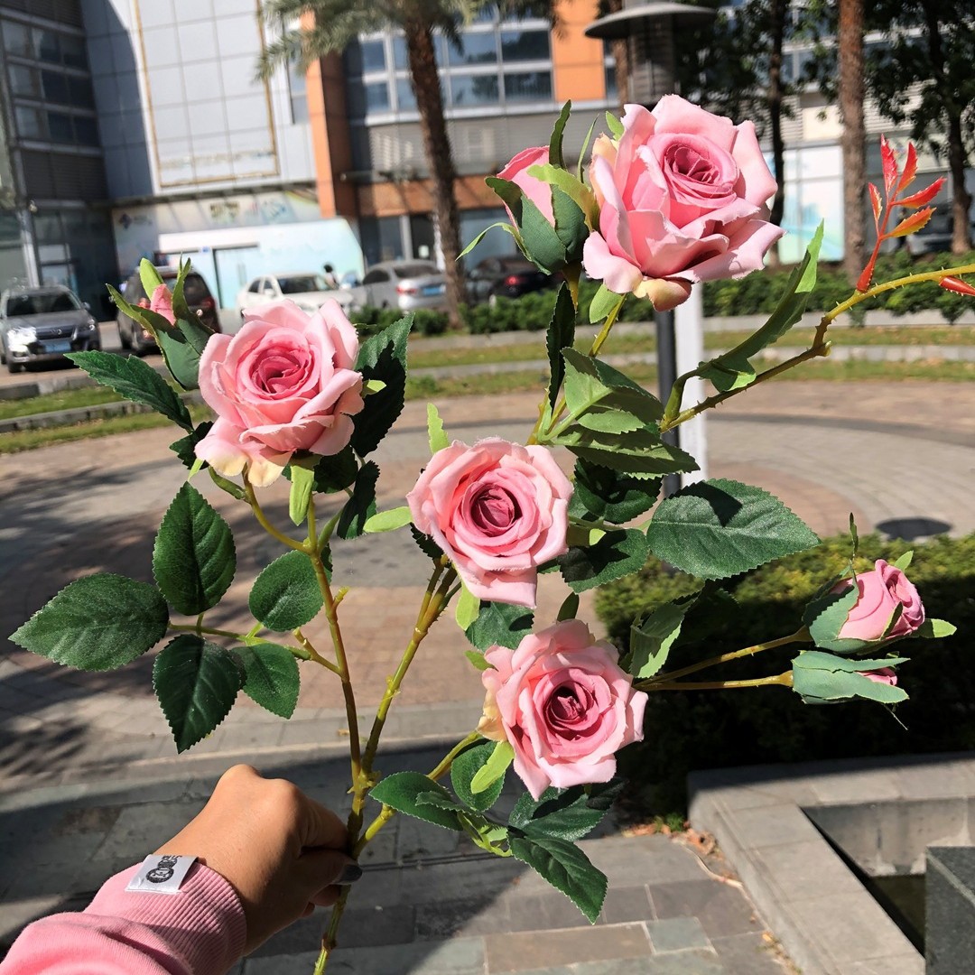 8 Rosas Británicas, Polvo Compacto Intenso
