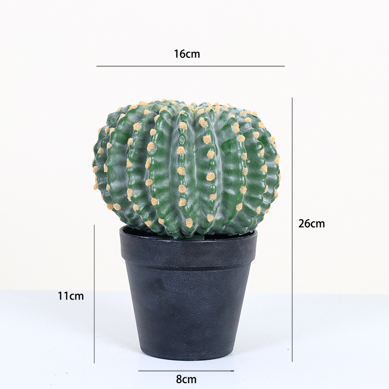 Cactus bonsai-h 26cm 16cm
