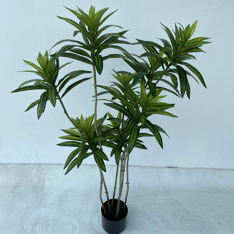 120 cm de bambou Lily