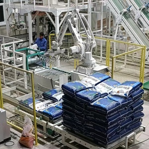 Empaquetador automático de paletas, cajas apilables, máquina robótica de paletización, Robot paletizador para bolsas de cartón - Product Image 4