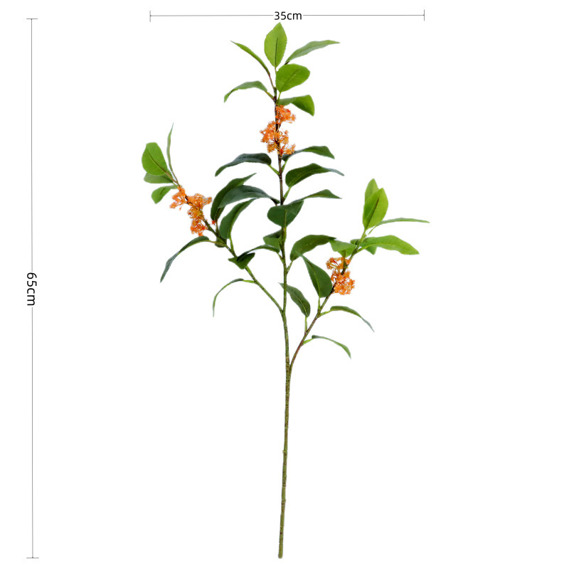 Feuilles d'osmanthus, orange