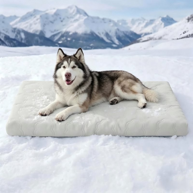 Cloud-shaped cooling pad, gray