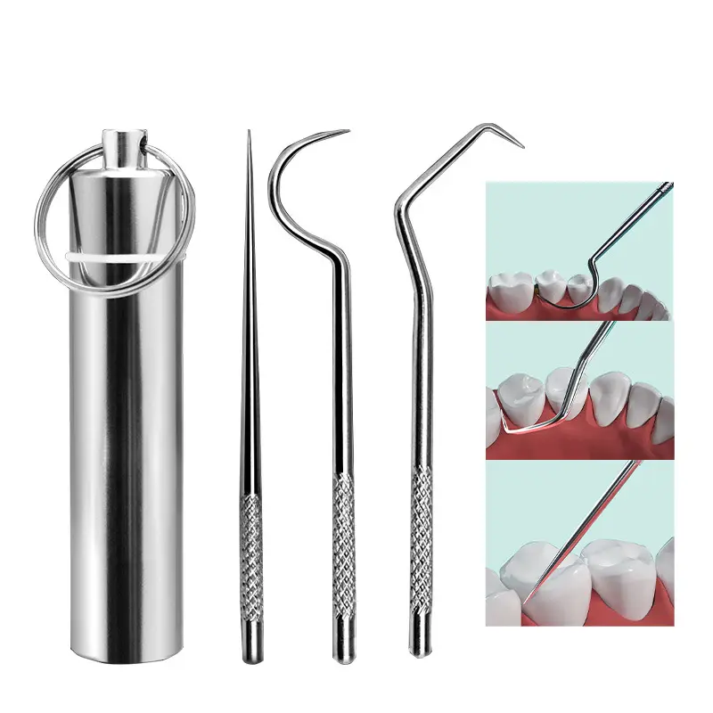 Set di stuzzicadenti in acciaio inossidabile filo interdentale più forte con supporto per stuzzicadenti portatile Kit per la pulizia orale dei denti per la pulizia orale