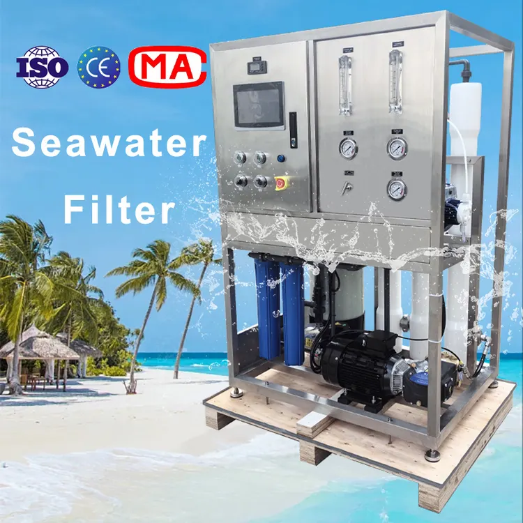 10T par jour machine de dessalement d'eau de mer osmose inverse Watermaker usine de dessalement d'eau de mer eau salée à l'eau potable