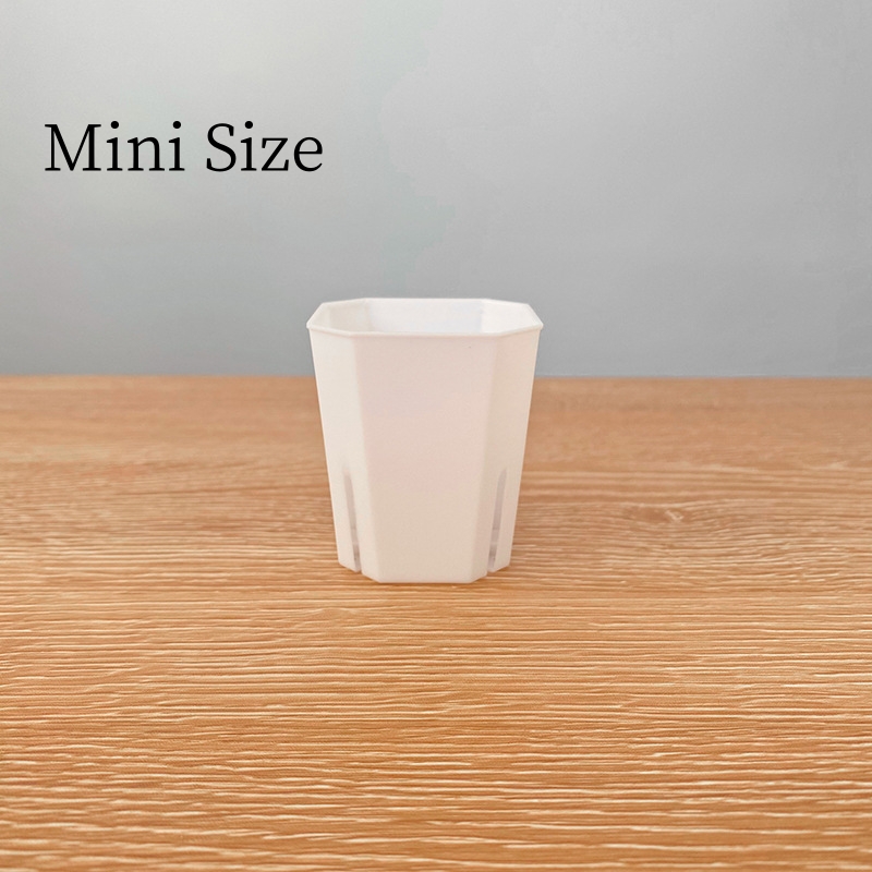 2 Mini Blanco Solo la maceta