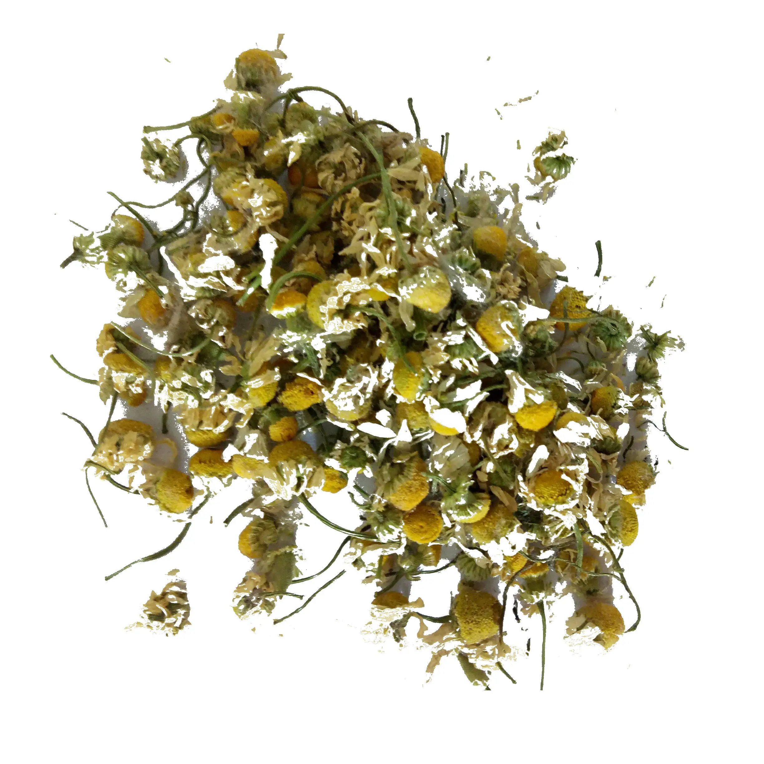 Hotsale Pure chamomile flower bud dried loose whole chamomile flowers for sale