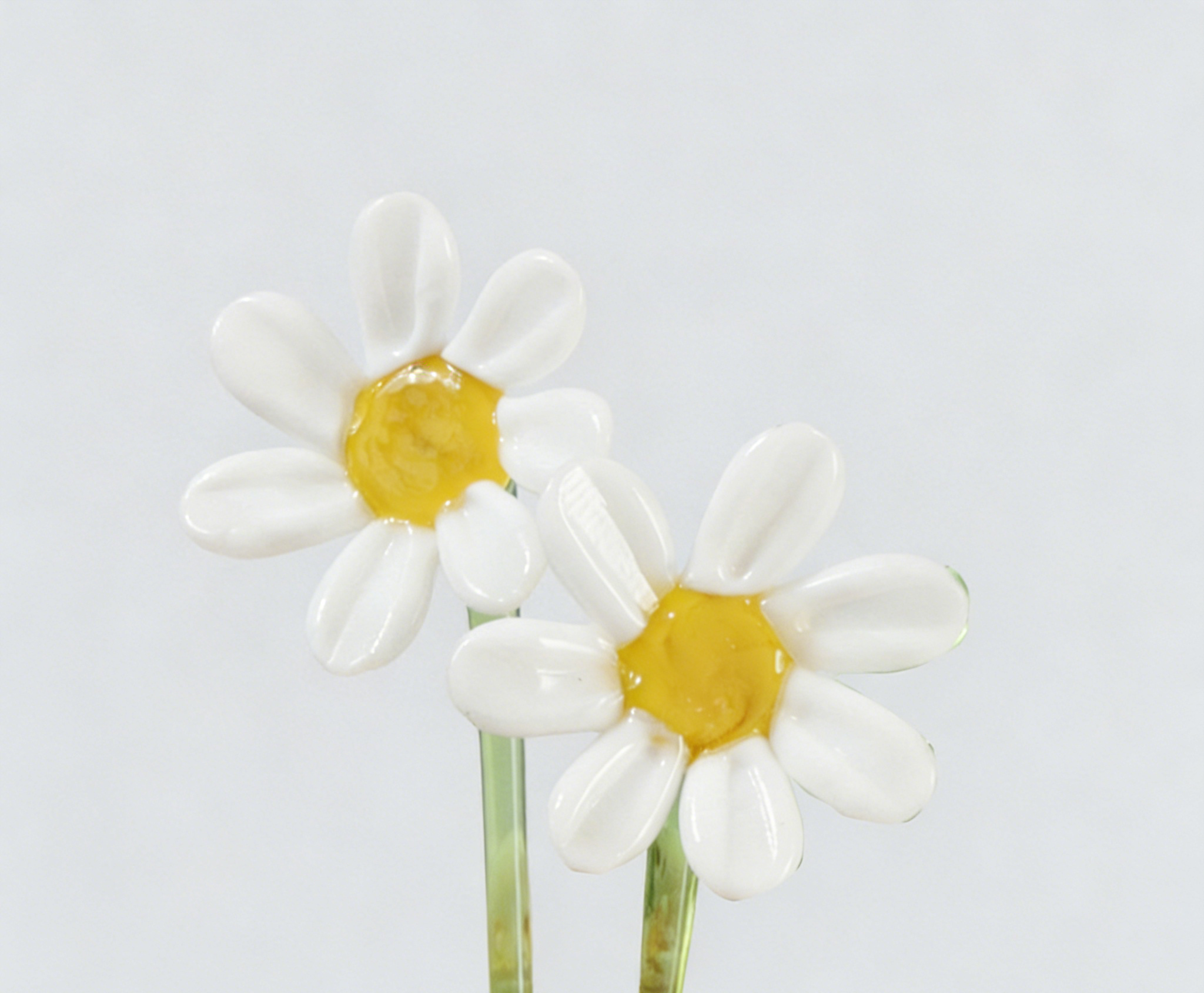 Accessoires simples marguerite blanche de mai