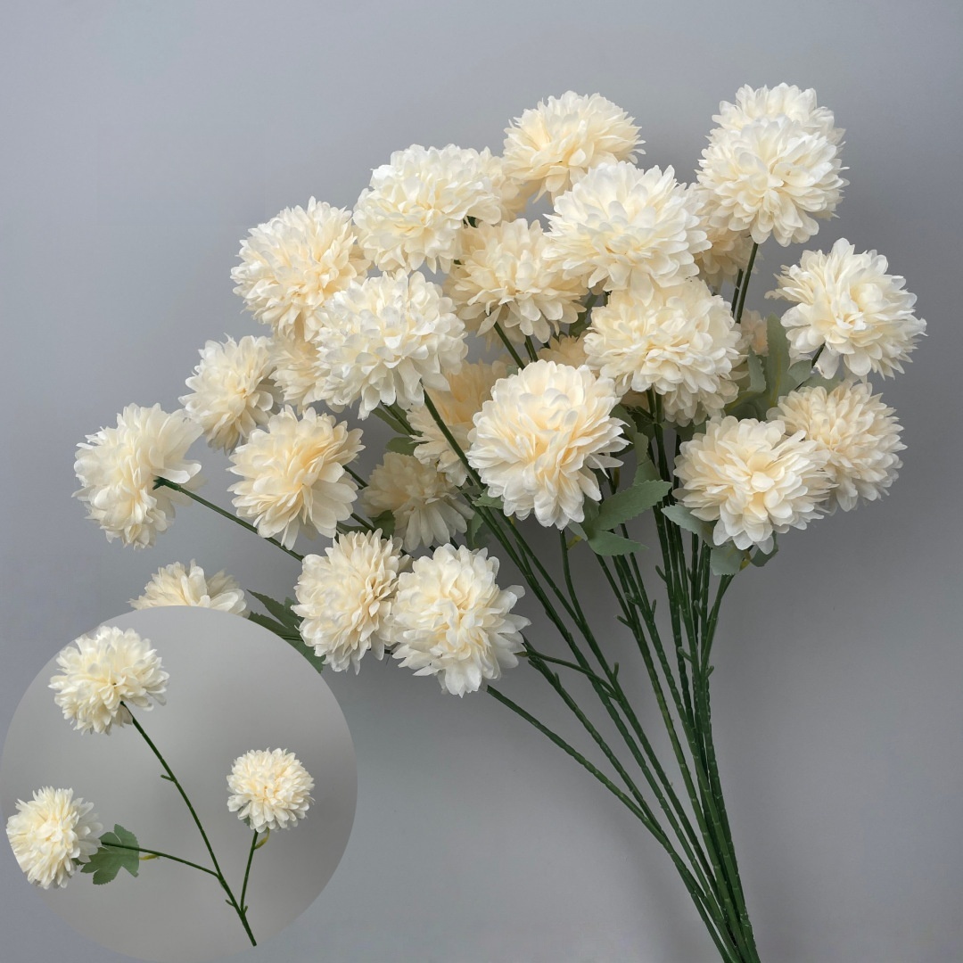 Chrysanthème à trois têtes