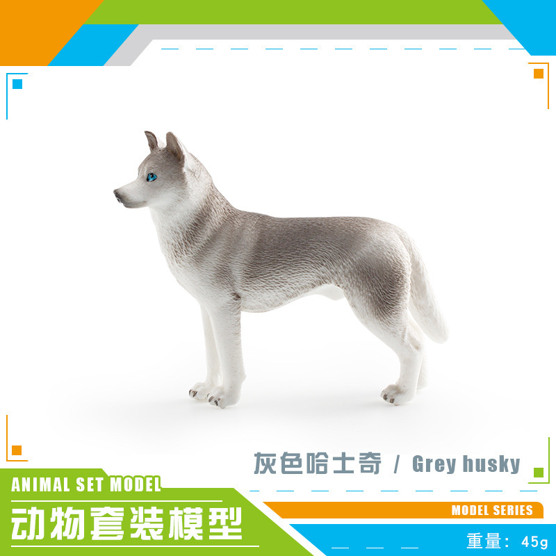 colorato PL127-2298 Husky grigio 45g