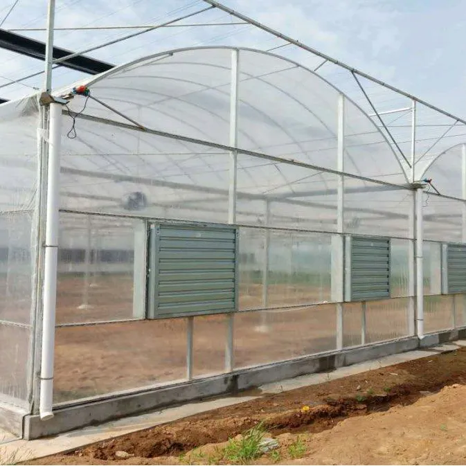 SUNSGH Estufa de plástico de venda quente para cultivo de produtos vegetais, fabricantes de estufas para fabricação de filme na China SUNSGH