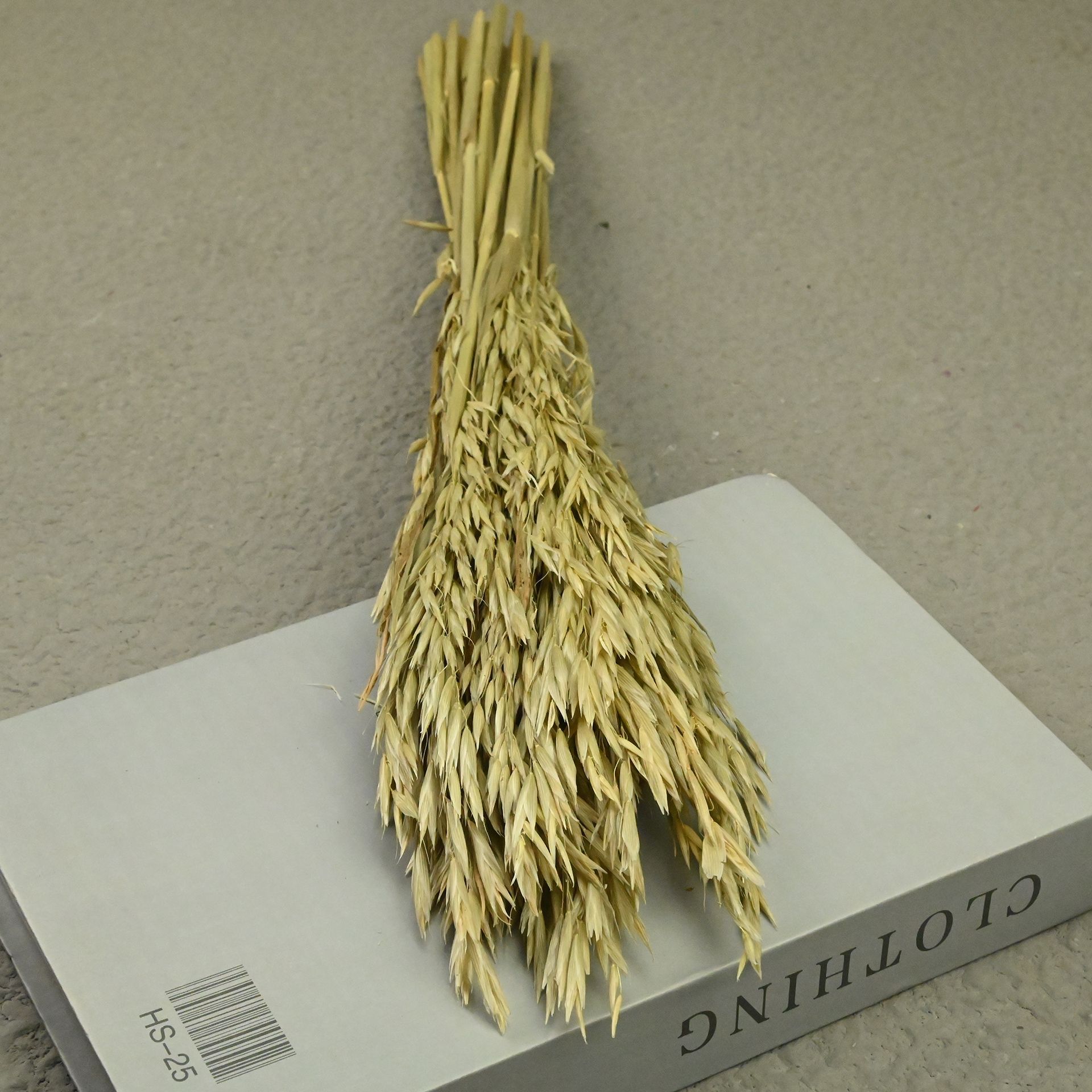 Oatmeal color