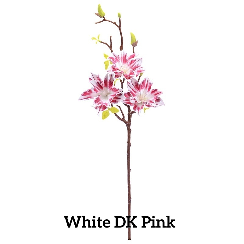 Blanc DK Rose
