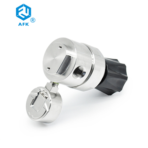 Chất lượng cao 316L thép không gỉ đo áp suất 1/4npt cho Helium gas thanh Trừng hệ thống - Product Image 5