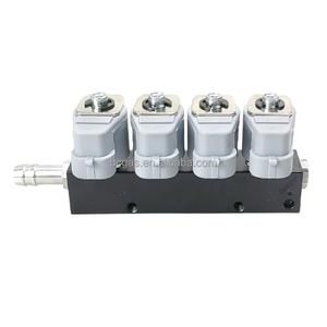 Sequentielles Kraftstoffs ystem 2Ohm 4-Zylinder-Einspritzschiene CNG LPG Digitale Kraftstoffe in spritz ung Lpg Gemeinsame Einspritz schiene