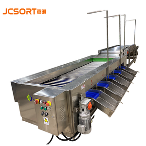 ライチグレーダーマシンJC SORT高度自動フルーツ仕分けグレーディング - Product Image 3
