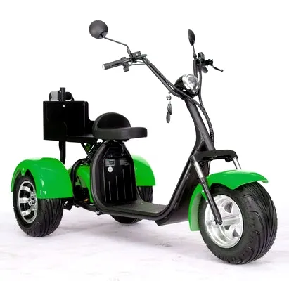 Golf Xe Tay Ga Điện Điện Scoot Dành Cho Người Lớn Điện Điện 3 Bánh Xe Scooter Citycoco 2000W 3 Bánh Xe Chất Béo Lốp Xe Đạp Điện Kit