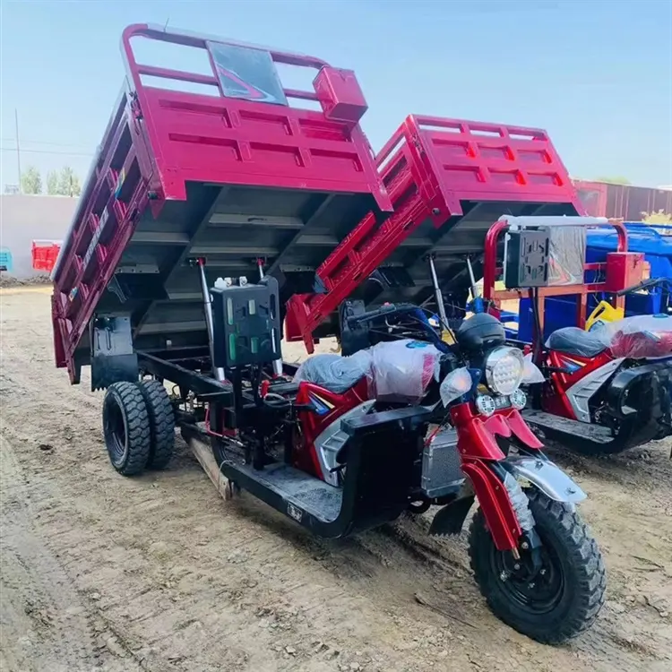 Battery Trike Wheeler Tuk Tu Tricycles 60v 1600w Three Wheel Electric Cargo Tricycle Electric High Quality