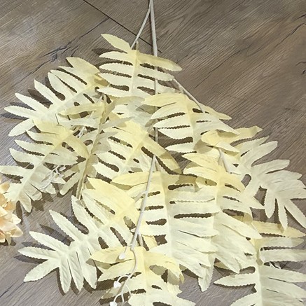3 forks high branch persian leaf champagne