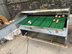 電子はかり自動卵検査 & 分類サイズソーターグレーダーソート卵グレードマシン/卵重量ベースの分類 - Product Image 4