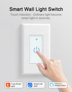 Tuakıllı wifi anahtarı tuya akıllı WiFi soket fiş wifi akıllı alexa akıllı anahtar akıllı ev ışıkları anahtarı - Product Image 6