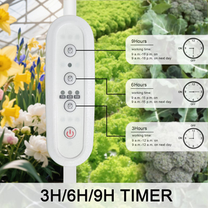 Прямой заводской таймер Liweida 3H 6H 8H 9H 12H 16H с кабелем питания - Product Image 6