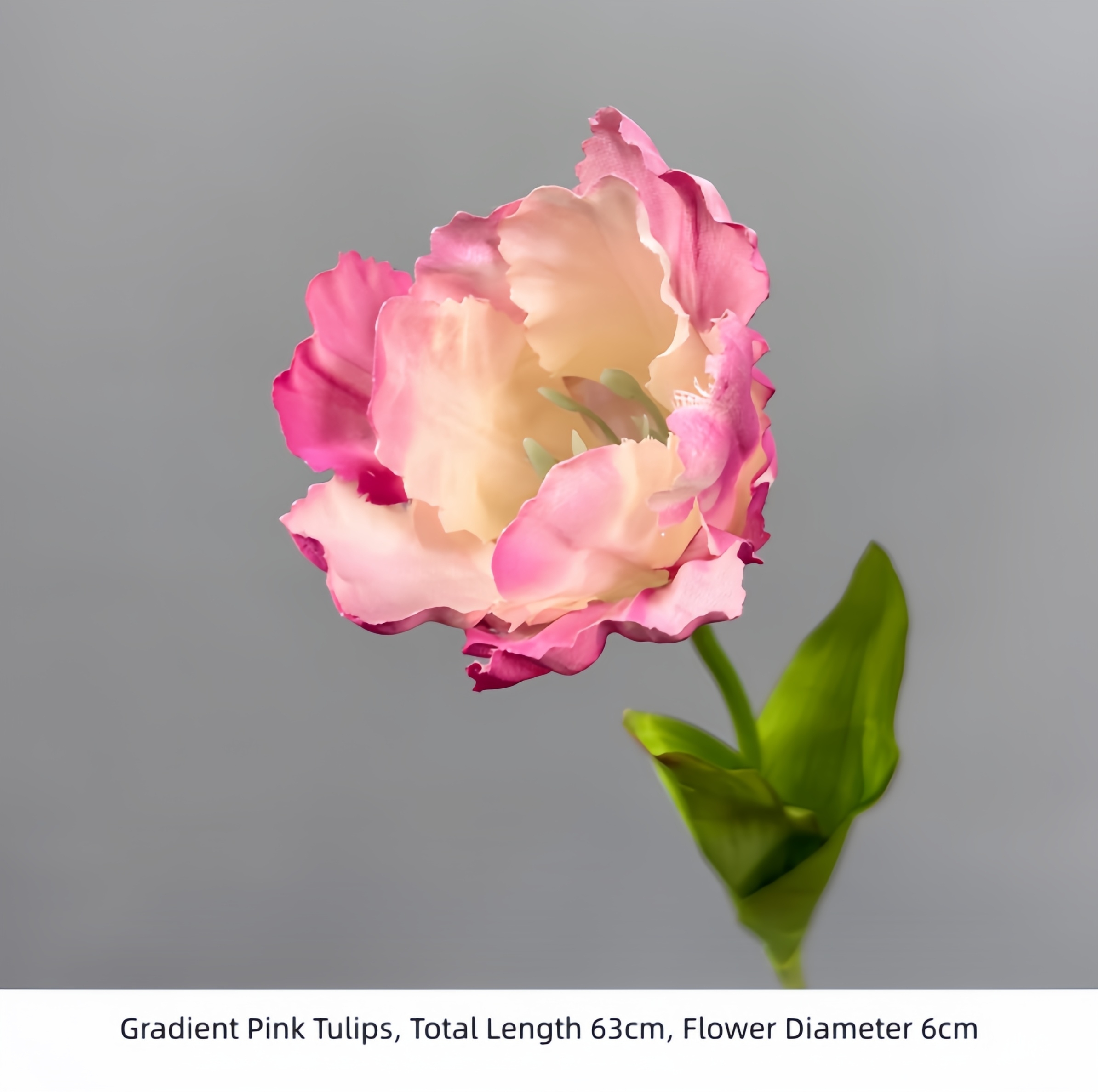 Gradient Pink Tulips