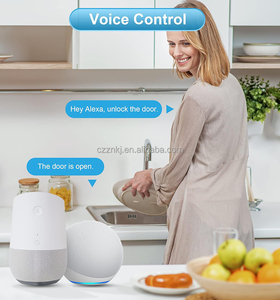 Akıllı parmak izi kilidi için uzaktan kumanda ile TTLock için G2 Wi-Fi ağ geçidi Bluetooth ağ geçidi - Product Image 4