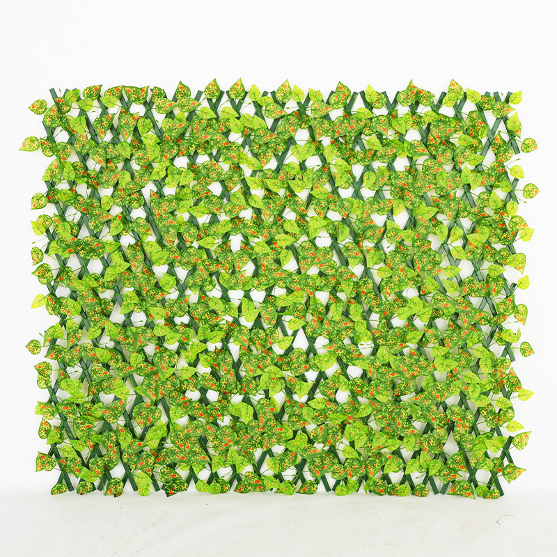 Red-spotted pothos leaves