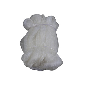 Plastic Invisible Nylon <strong>pp</strong> Grid Mesh Anti Bird <strong>Netting</strong> 10mm - Product Image 3