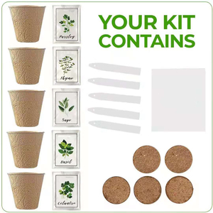 Fabrika sıcak satış degraindoor aracı set kapalı bahçe büyümek kiti için ot kiti - Product Image 4