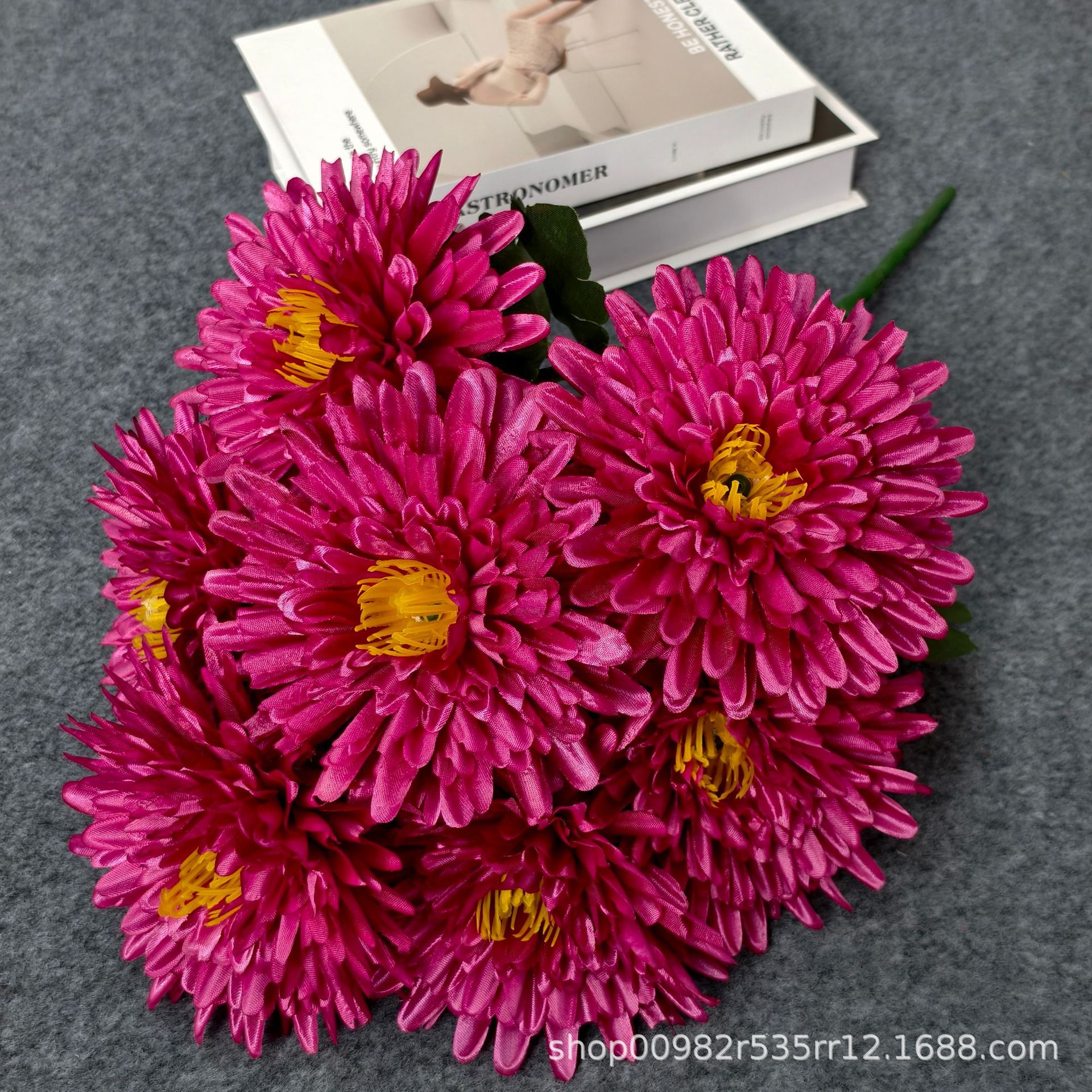Chrysanthème à aiguilles rouge violacé