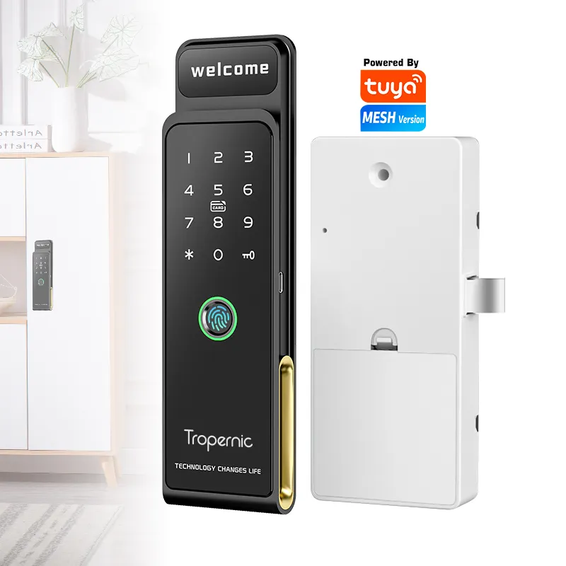 Tropernic Tuya écran tactile numérique électronique intelligent Rfid batterie mot de passe armoire casier serrure avec empreinte digitale