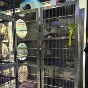 Jaulas Gatos KA-508C gabbie modulari per animali domestici in acciaio inossidabile di lusso Kandang Kucing Cage per allevamento di gatti - Product Image 1