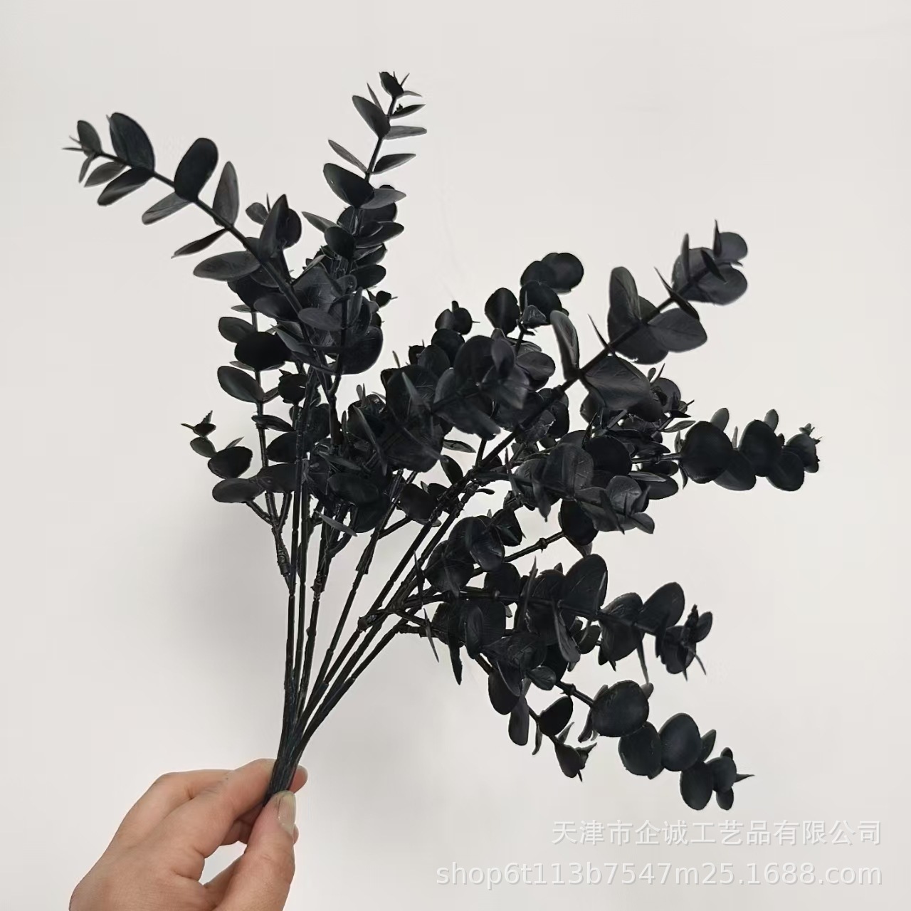 Eucalyptus