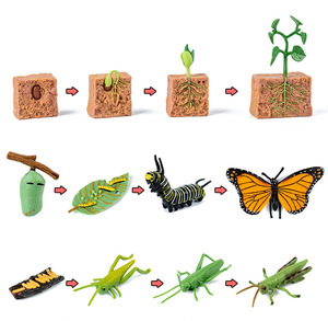 Toddler Wooden Animal and Plant Life Cycle Baby Experiment Insect Animal and Plant Model Puzzle Enlightenment <strong>Toy</strong> - Product Image 1