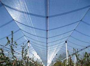 UV-beständige Landwirtschaft Anti-Hagel-Netz Apfelbaum Hagels chutznetz für Weinberg