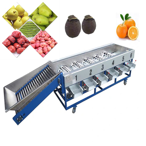 Macchina di smistamento della frutta intelligente dimensione della separazione automatica smistatrice con il prezzo basso - Product Image 3