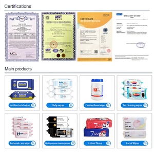 Scott <span class=keywords><strong>Farlin</strong></span> fiyat hassas su bebekler peçete el ağız ıslak Sanicare güvenli 2020 ıslak mendil - Product Image 2