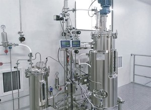Dispositivo di fermentazione batteri serbatoi in acciaio inox peso fermentazione pilto bioreattore coltura vegetale 50L