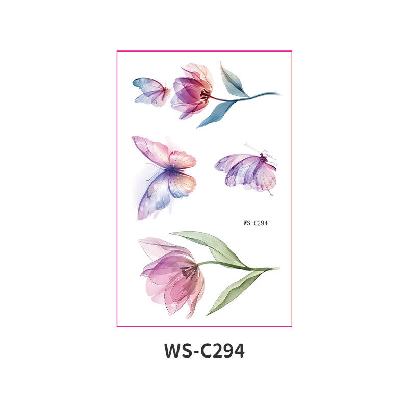 WS-C294
