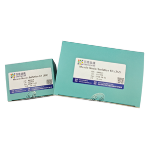 Kit di isolamento dei Nuclei muscolari (TEST 10) dissociazione del tessuto per la ricerca ISO 9001 BA3315 - Product Image 3