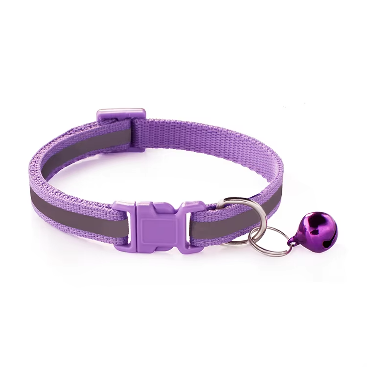 Viola