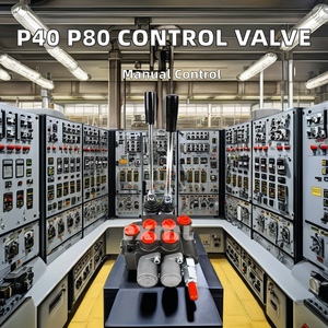 New P40 P80 thủy lực nhiều van điều khiển cho máy kéo gặt đập cẩu với 1 năm bảo hành - Product Image 2