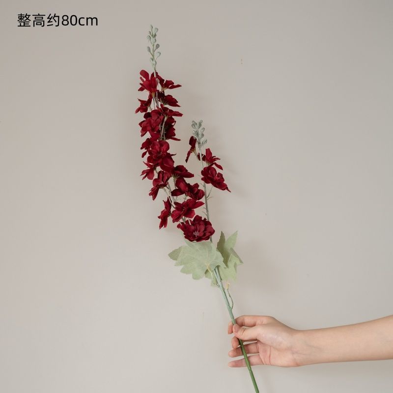 Pied-d'alouette rouge