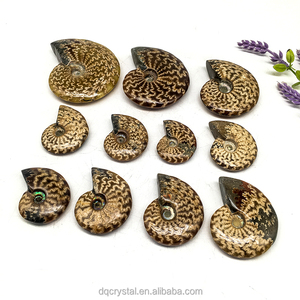 Espécimen mineral fósil de amonita de cristal Natural, tallas de cristal Natural, mesa fósil de concha para decoración del hogar - Product Image 6