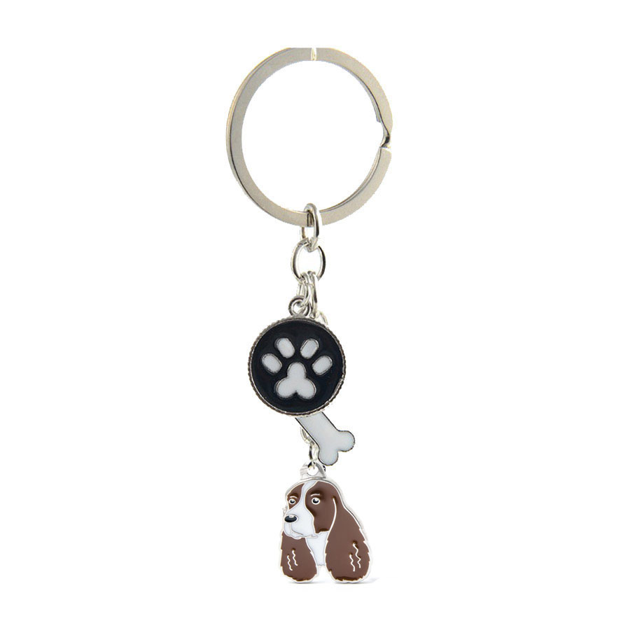 6 chiens Spencer