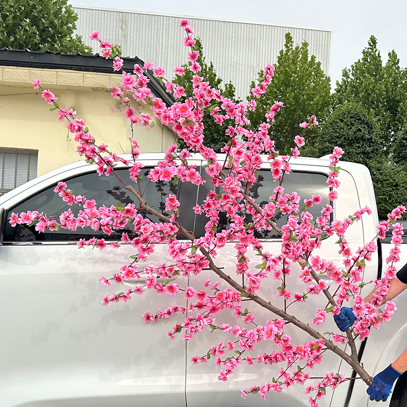 deux mètres carrés d'espace